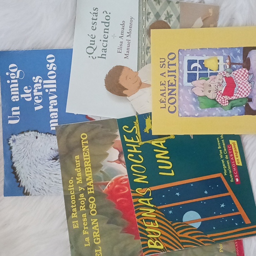 5 Spanish Scholastic Book Lot